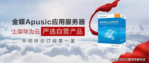 為何只有金蝶Apusic登上華為云嚴(yán)選？深度解析第一家中件云訂閱登陸之路